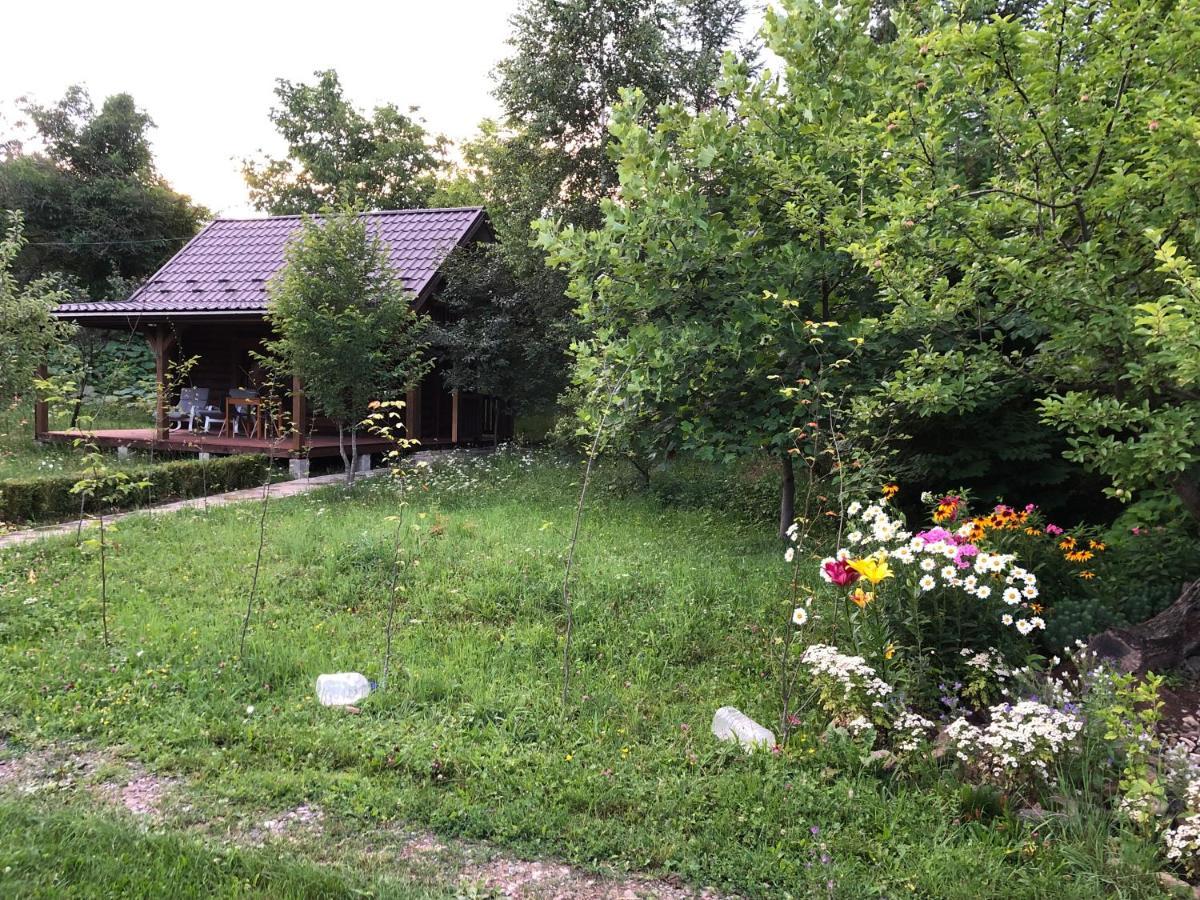 Byalobereska Галіція 빌라 외부 사진